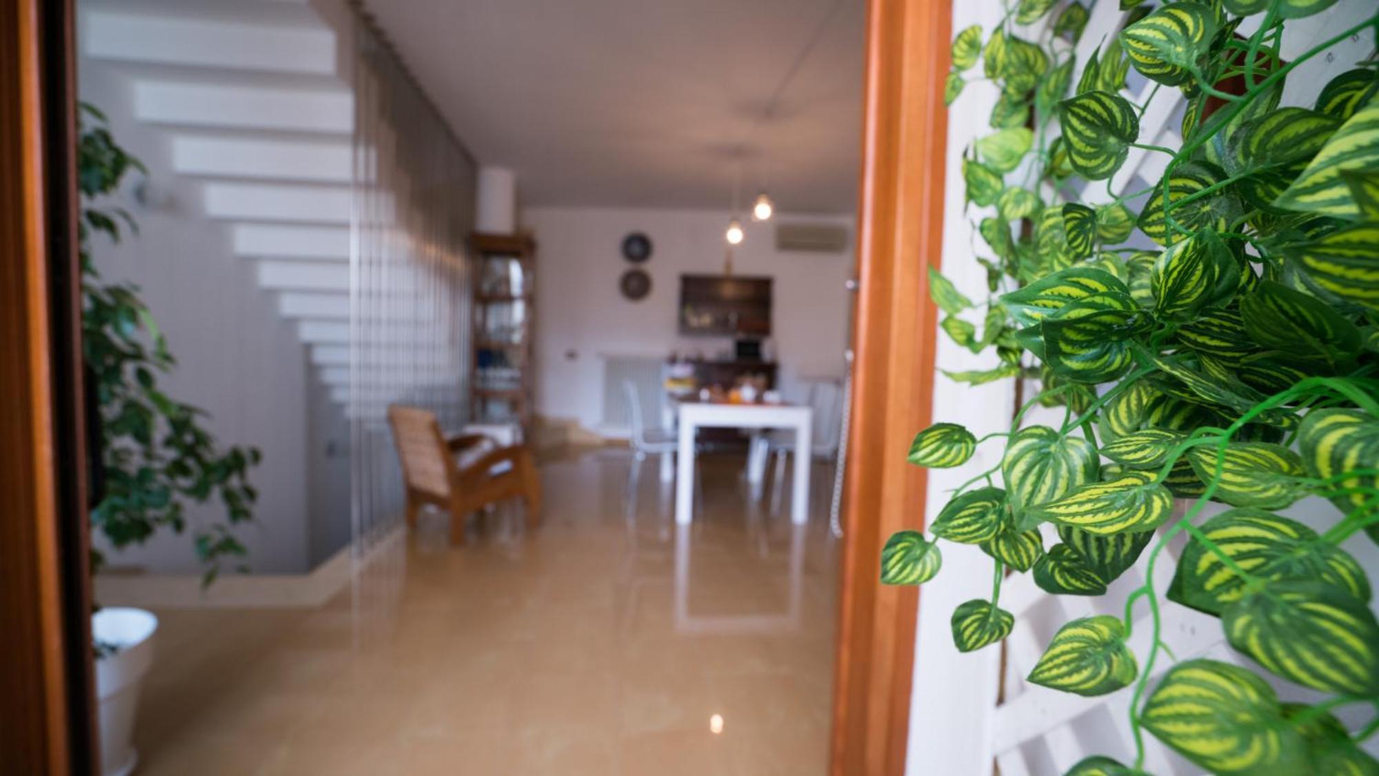 Il Vicoletto Bed & Breakfast Polignano a Mare Dış mekan fotoğraf