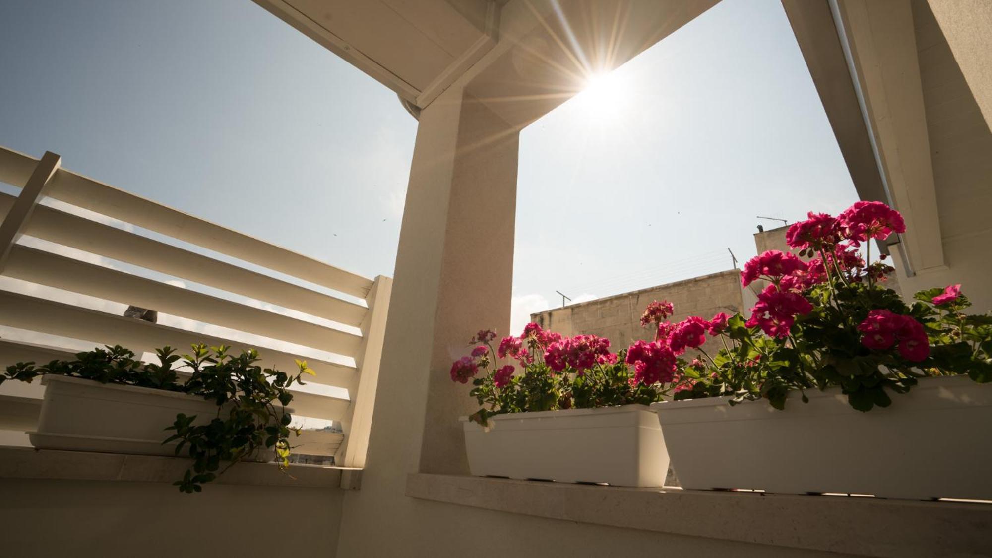 Il Vicoletto Bed & Breakfast Polignano a Mare Dış mekan fotoğraf